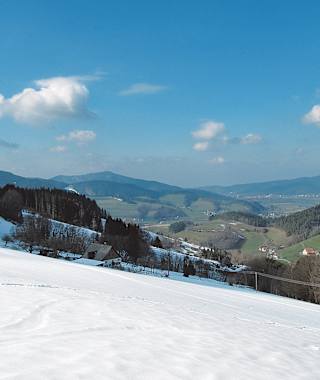 Während im Zartener Becken bereits der Frühling Einzug hält, bieten die nordseitigen Abfahrten am Hinterwaldkopf noch gute Bedingungen.