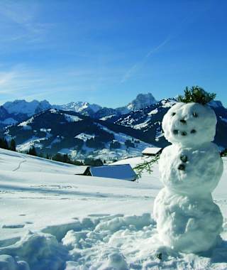 Winterwanderung Saanenmöser-Gstaad