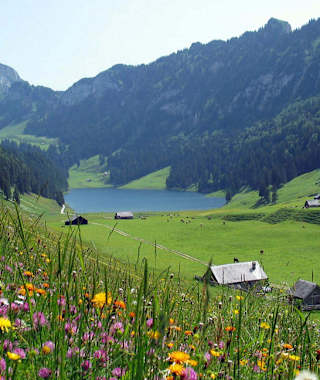 Blick vom Chüeboden auf den Sämtisersee