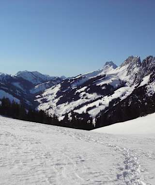 Am Schneeschuh Jaunpass Trail