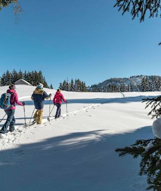 Schneeschuhwandern für Anfänger