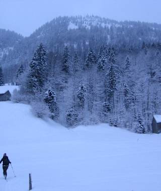Start in Starkenbach