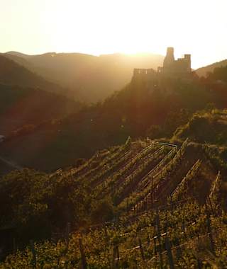 Wunderschöne Abendstimmung am Senftenberg