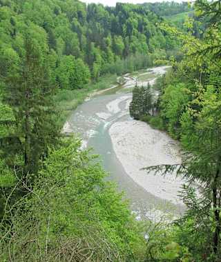 Blick auf die Sense bei der Grasburg