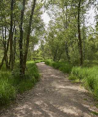 Schöne Wanderwege im Wittmoor