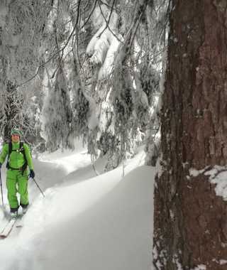 Durch tief verschneiten Wald zur Jägernase