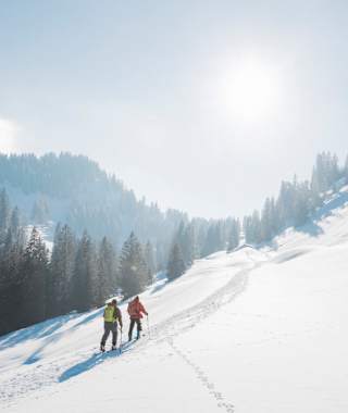 Skitour auf die Wandflue