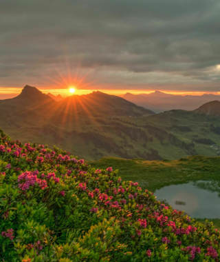 Sonnenaufgang am Portlahorn