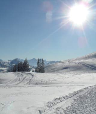 Ein absoluter Wintertraum