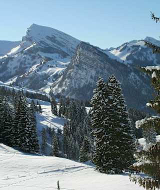 Winterwanderung Springenboden-Diemtigtal