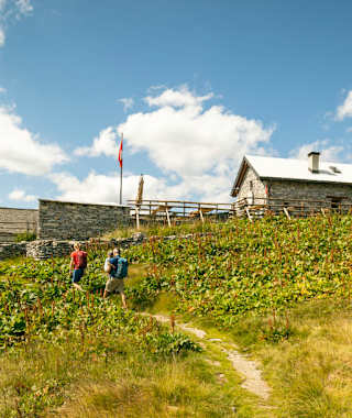 Bei der Alpe Salèi lohnt eine Einkehr