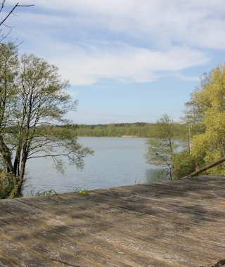 Blick von der Draisinestrecke auf den Lychensee