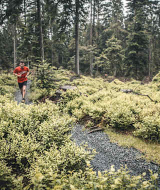Swiss Trailrun Pilatus