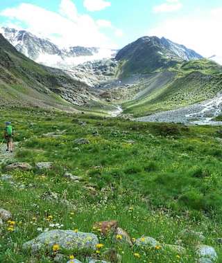 Der grüne Talboden des Taschachtales