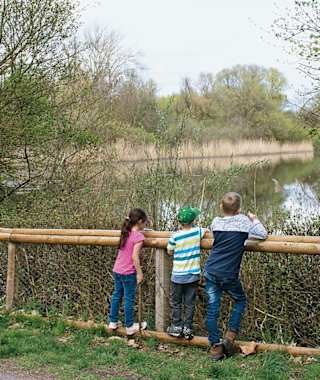 Gebanntes Publikum am Riedteich: Wasservögel sind hier die Stars.