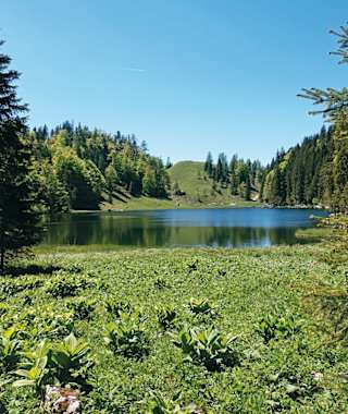 Der Taubensee hoch oben am Berg.