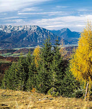 Blick vom Spielberg auf Salzachtal, Untersberg (links) und Zwiesel/Hochstaufen (rechts).