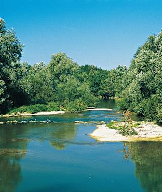 Der natürliche Flusslauf der Saulx