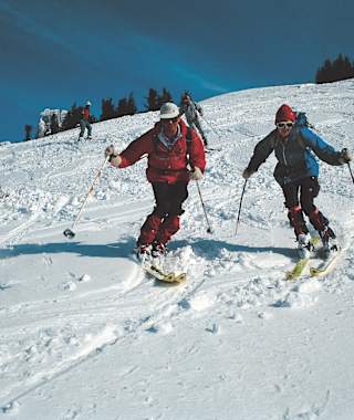 Abfahrt von der Mahdalm