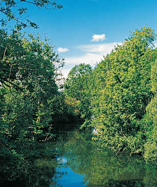 Die stillen Wasser des Rognon.