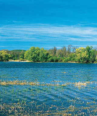 : Ein Paradies für Wasservögel: der Réservoir de la Vingeanne.
