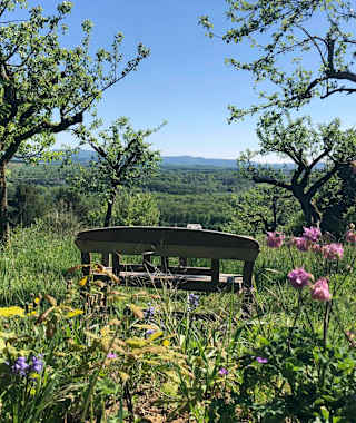 Blick auf den Albtrauf