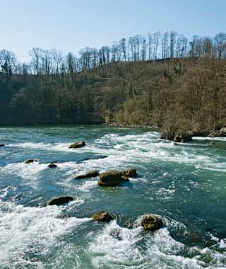Der Rhein kurz vor dem Fall.