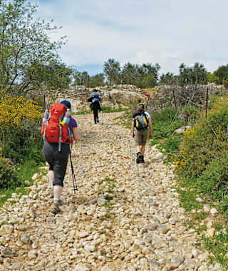 Im Aufstieg durch Obst- und Olivenplantagen.