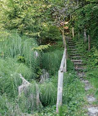 Feuchter Hangbereich mit Schachtelhalm unterhalb St. Georg.