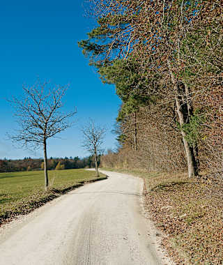 Nur kurz gehen wir auf der einzigen öffentlichen Straße über den Randen.