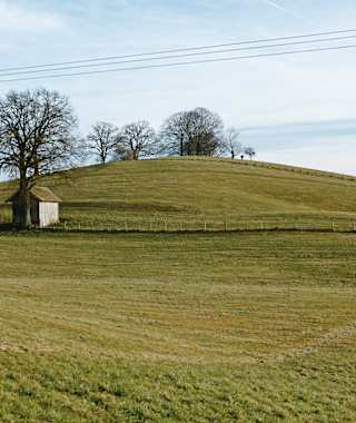 Drumlin Hohenberger Hügel.
