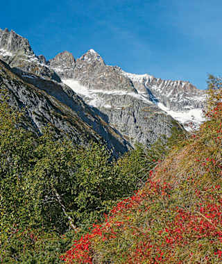 Beim Aufstieg nach Eril putzt sich die Bietschhorngruppe immer prächtiger heraus.