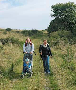 Herrliche Wiesenwege auf der Dreiborner Hochfläche.