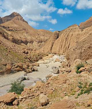 Einsamkeit nicht weit von Masada!