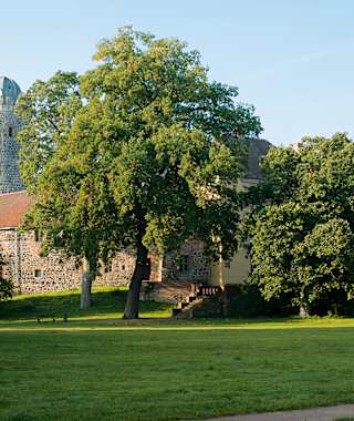 Die von einem kleinen Park umgebene Bischofsresidenz Ziesar.
