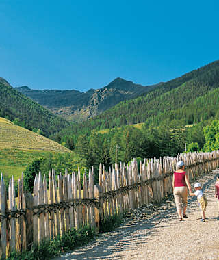 Geflochtener Zaun in Terenten.