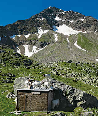 Blick von der Veranda der Bristenseehütte Richtung Holzvorrat, dessen Bewacher, und Gipfel. Am niedrigsten Punkt im Nordostgrat findet sich der Übergang auf den Grat.