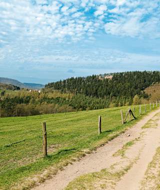 Die Burgruine Fleckenstein grüßt schon von Weitem.