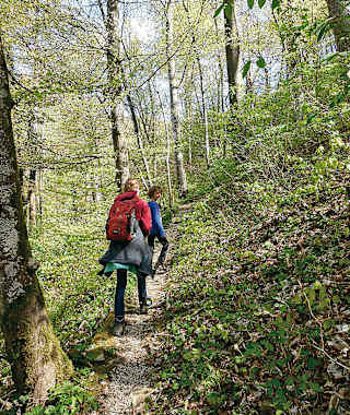 Aufstieg zur Radegg.