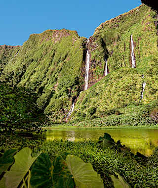 Am Poço das Patas (Variante).