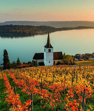 Herbstpanorama bei Ligerz