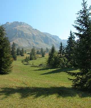 Moorlandschaftspfad Kleine Entle