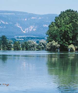Auenlandschaft an der Aare
