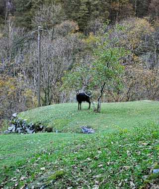 Sonlerto - Wasserfall Foroglio - Bignasco
