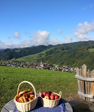 Auf dem Harmersbacher Vesperweg