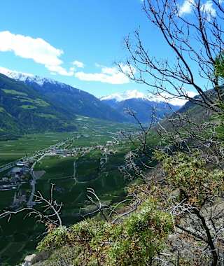 Blik in den Vinschgau