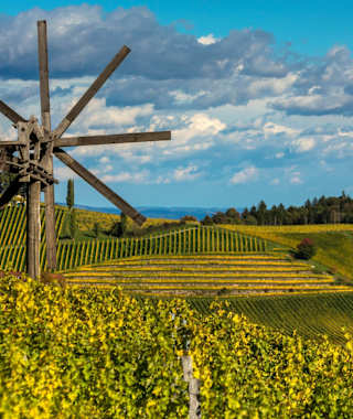Klapotetz an der Südsteirischen Weinstraße