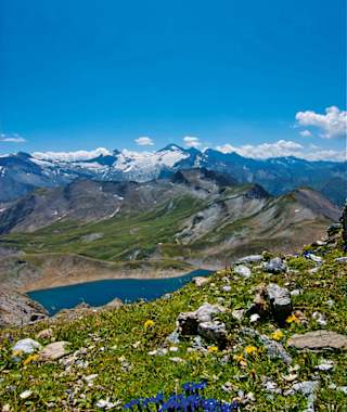Genialer Ausblick auf den Weiterweg: der enzianblaue Junssee, der begrünte Gschützspitzsattel; dahinter der Olperer mit Tuxer Ferner und links davon schon die Friesenbergscharte.