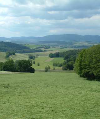 Goldsteig - Nordvariante - Etappe 11: Von Furth im Wald nach Schönbuchen