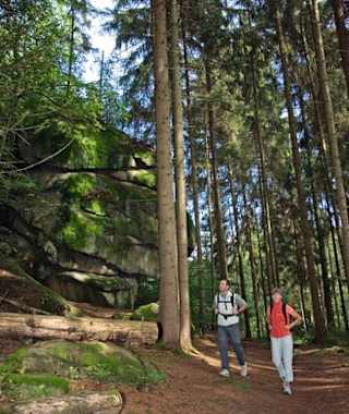 Goldsteig - Nordvariante - Etappe 3: Von Falkenberg nach Neuhaus